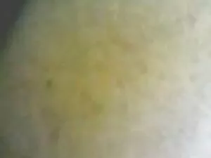 赤毛bbw Scralettレイヴンが積 ...